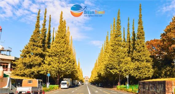 Tour Nhật Bản Mùa Thu 2026: Cung Đường Tokyo - Núi Phú Sĩ